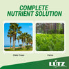 Lutz Palm Tree Fertilizer Spikes