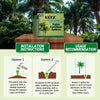 Lutz Palm Tree Fertilizer Spikes