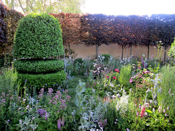Garden Design: Easy Plant Pairings and Layering
