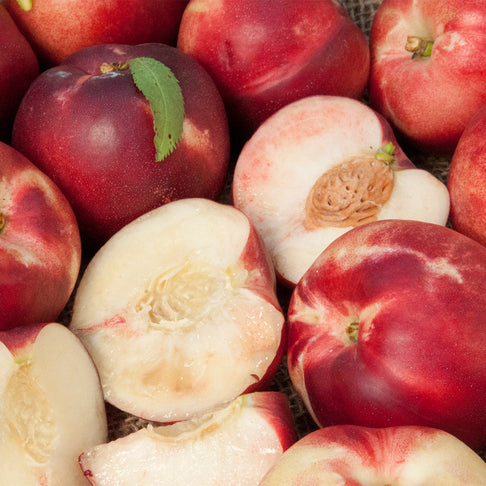 Arctic Babe Patio Nectarine Tree