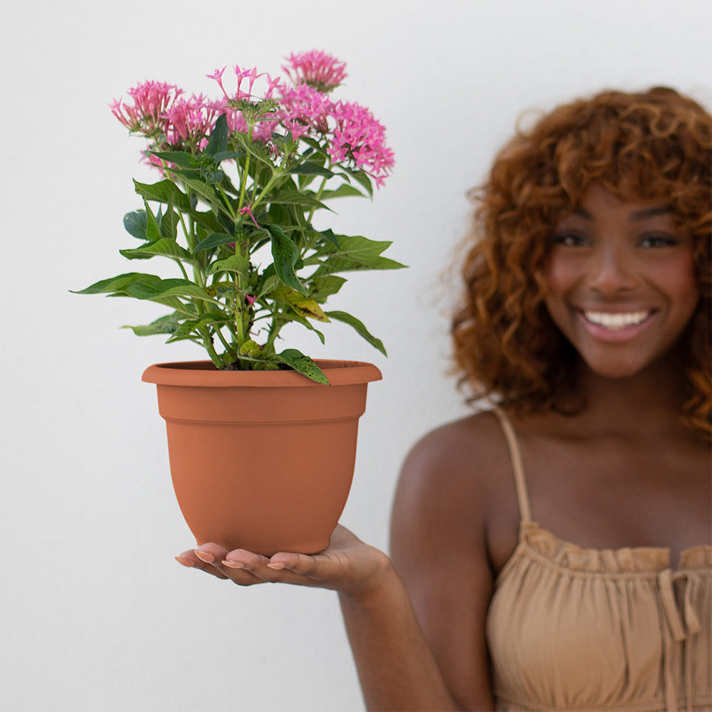 Bloem Ariana Self-Watering Planter in Terra Cotta