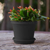 Bloem Terra Planter in Black