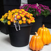 Bloem Terra Planter in Black