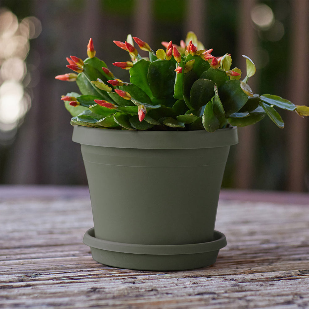 Bloem Terra Planter in Living Green