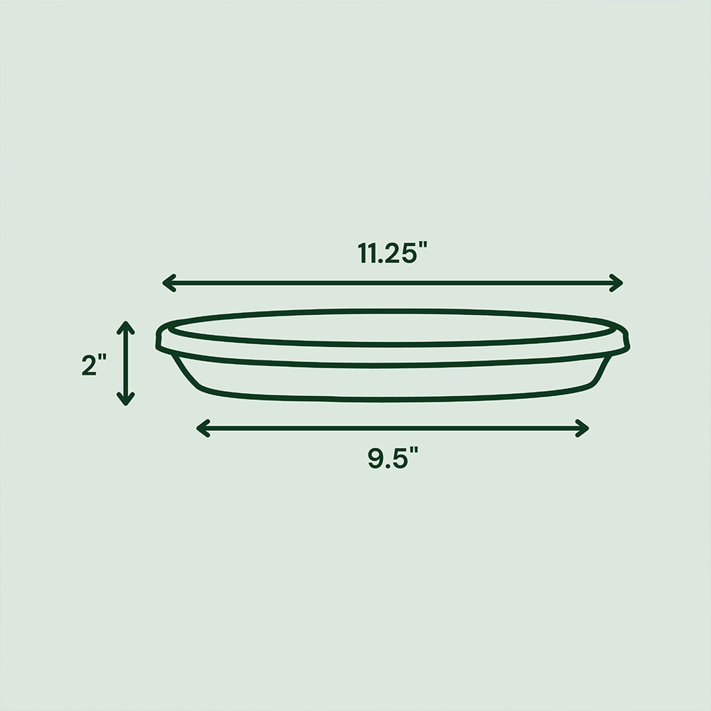Bloem Terra Saucer in Basil