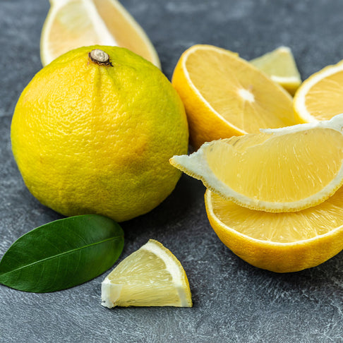 Bergamot Orange Tree