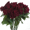 Black Baccara® Rose