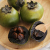 Black Sapote