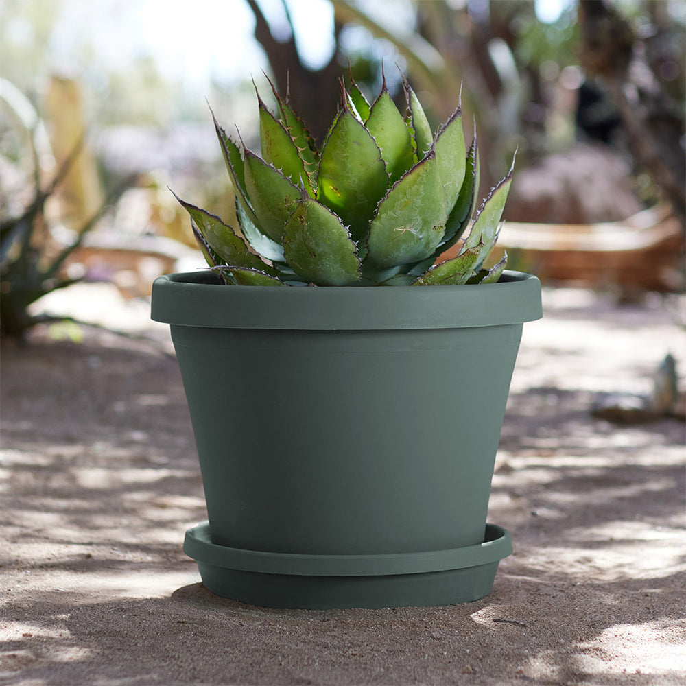 Bloem Terra Planter in Basil