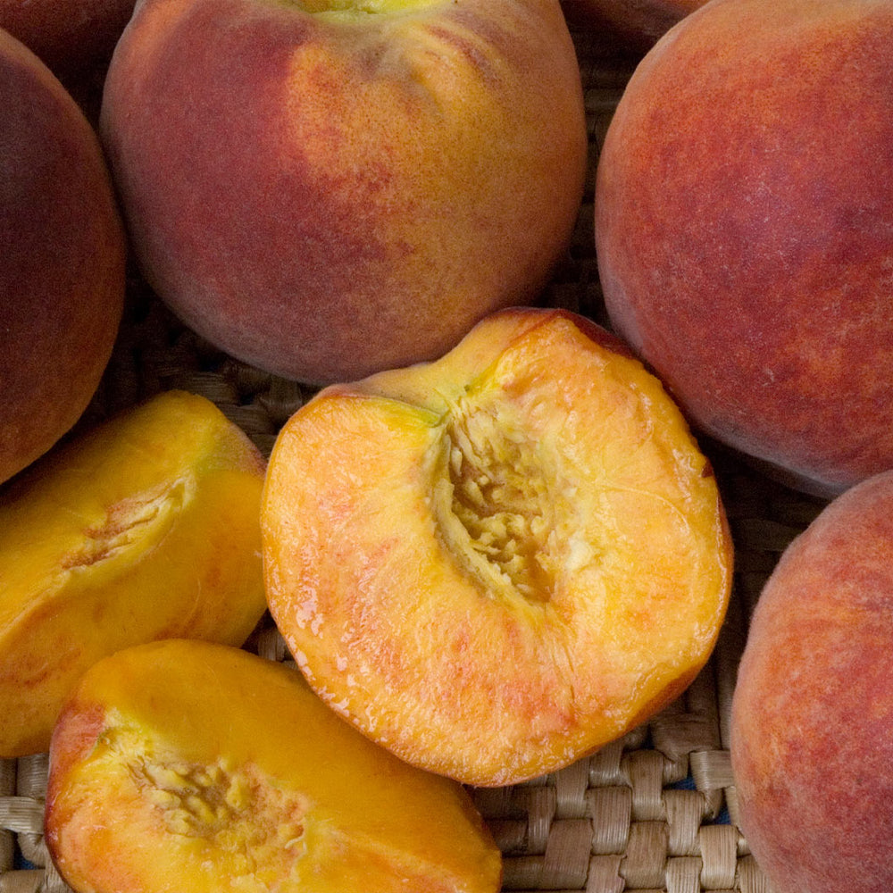Pix Zee Miniature Peach Tree