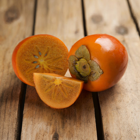 Chocolate Persimmon Tree