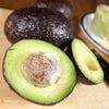 Carmen Hass Avocado Tree