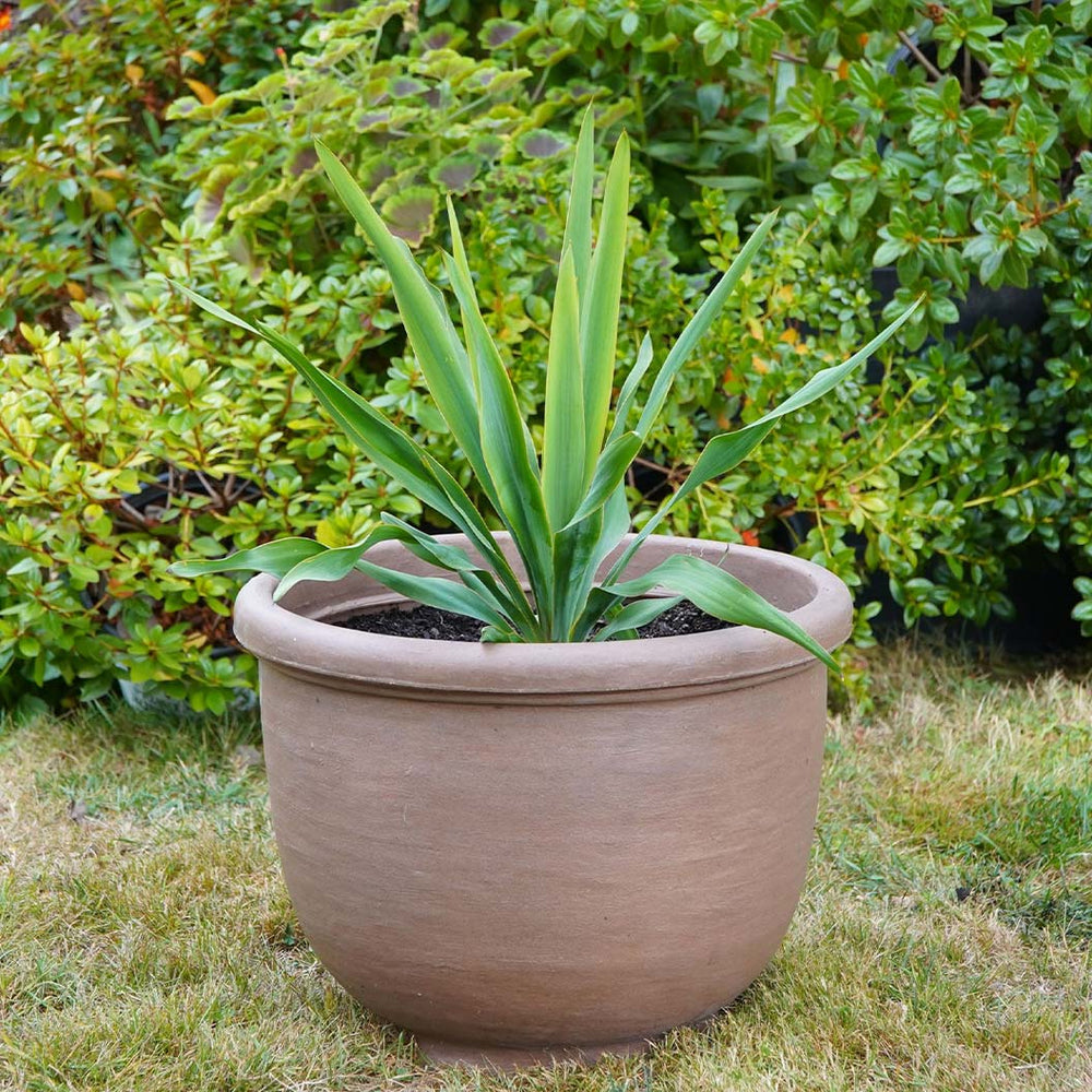 Crescent Garden Agave Planter