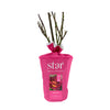 Dark Night™ Rose Shrub in Fiber Pot