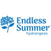 Endless Summer® The Original Reblooming Hydrangea