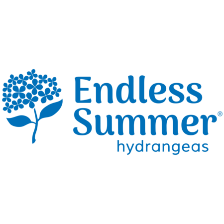 Endless Summer® Blushing Bride Reblooming Hydrangea