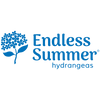 Endless Summer® Pop Star® Reblooming Hydrangea