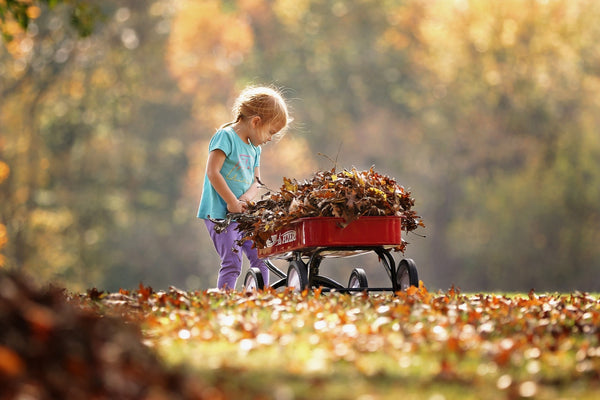 Why Plant in Fall: Quick Tips to Grow Your Garden
