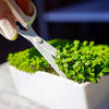 Gardenuity® Microgreens Desktop Garden Starter Kit