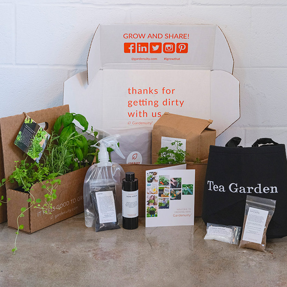 Gardenuity® Tea Garden Kit with Seasonal Herb Plants
