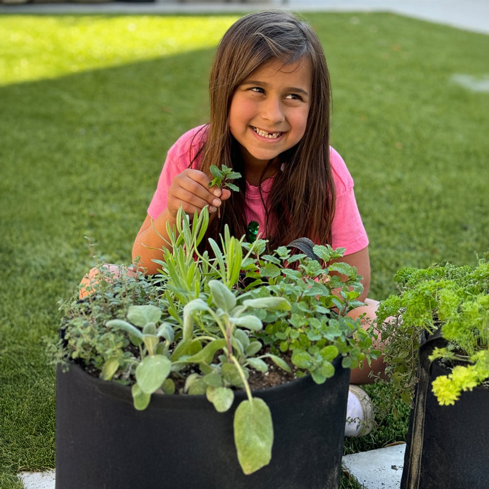 Gardenuity® Patio Herb Garden