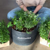 Gardenuity® Patio Herb Garden