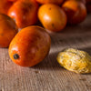 Red Hog Plum Tree