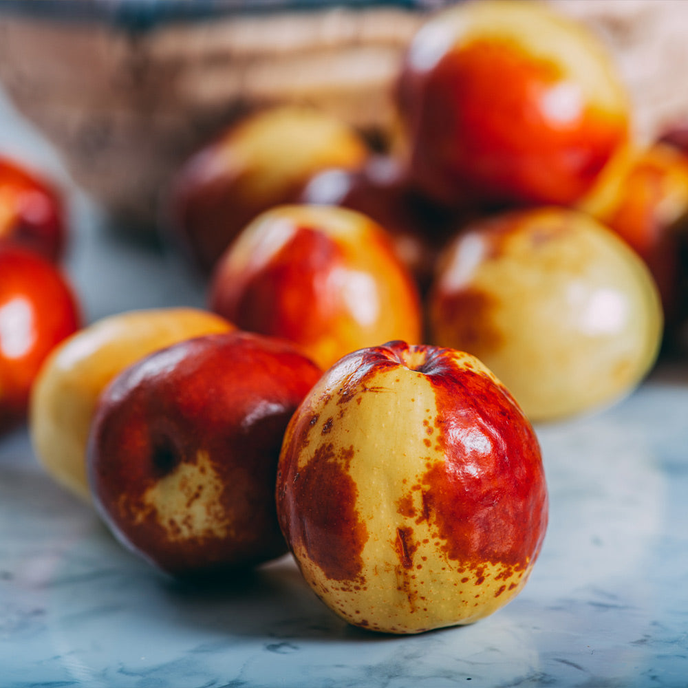 Honey Jar Jujube Tree