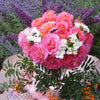 Julie Andrews™ Hybrid Tea Rose