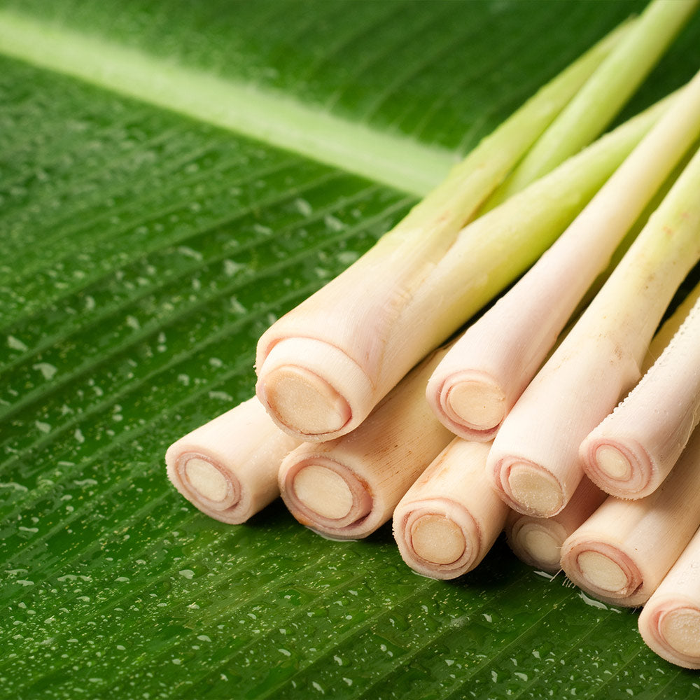 Lemongrass - USDA Organic