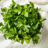 Italian Parsley Plant - USDA Organic