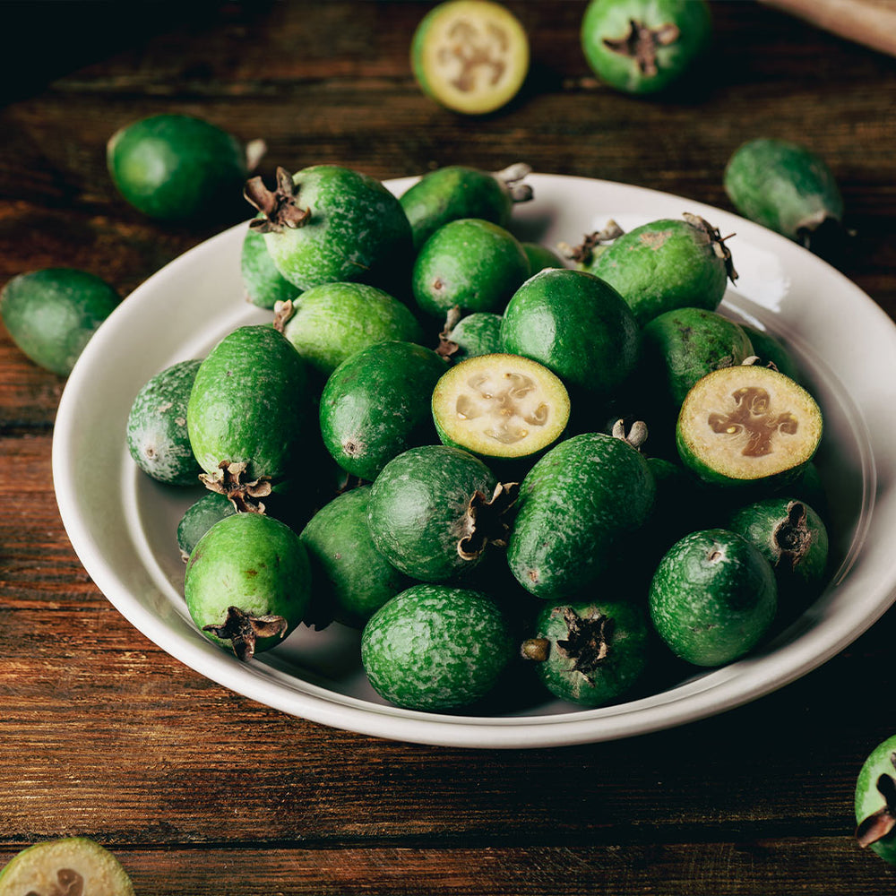 Pineapple Guava Coolidge Tree