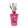 Pretty In Pink Eden Climber® Rose in Fiber Pot