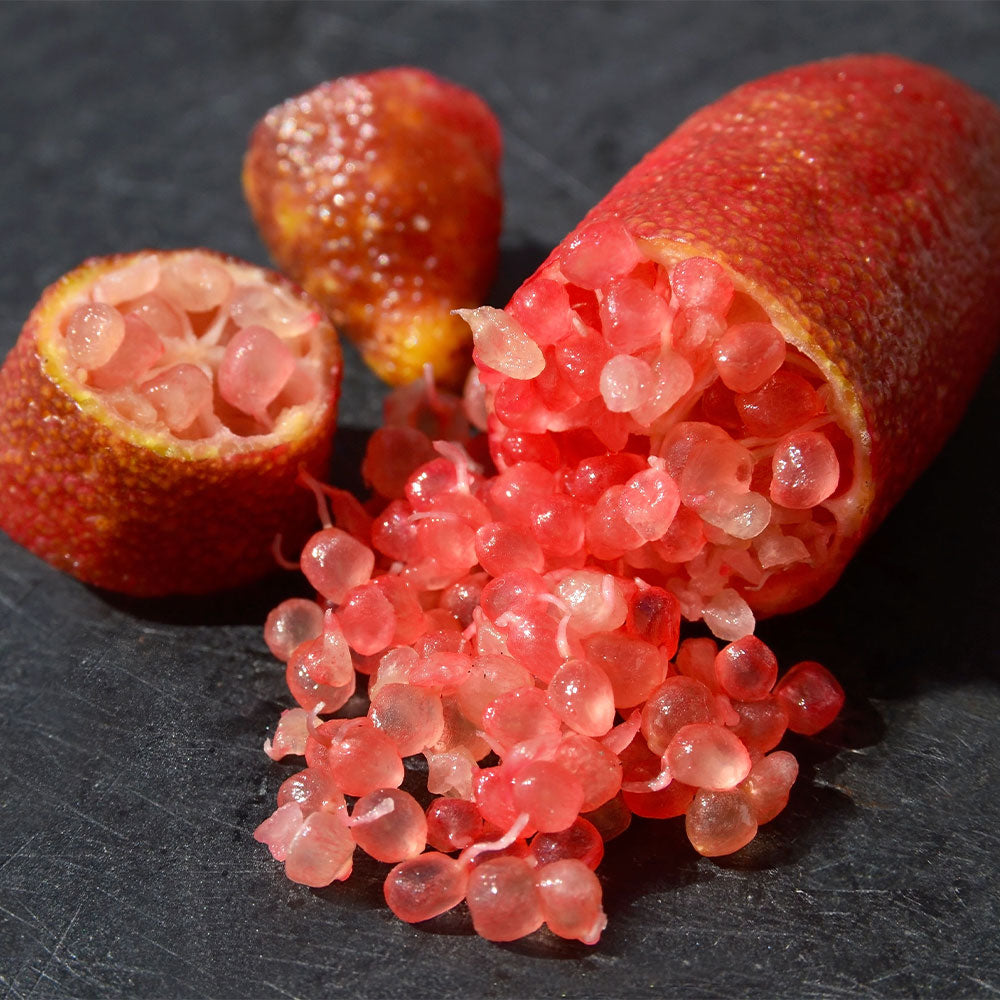 Red Finger Lime