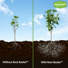 Root Rocket® Berries & Fruits Fertilizer