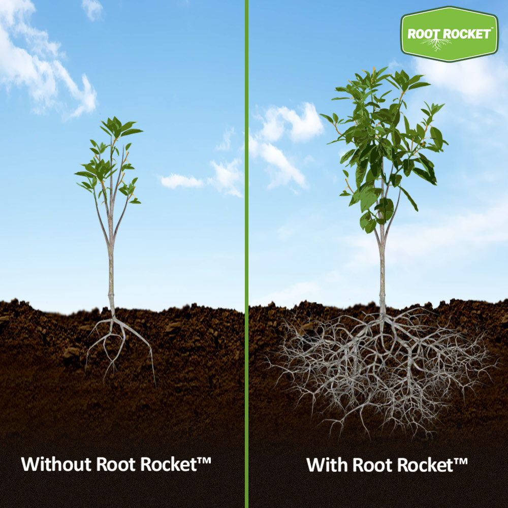 Root Rocket® Flowers Fertilizer
