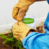 Root Rocket® Berries & Fruits Fertilizer