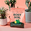 Rosy Soil Cactus and Succulent Mix