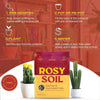 Rosy Soil Cactus and Succulent Mix