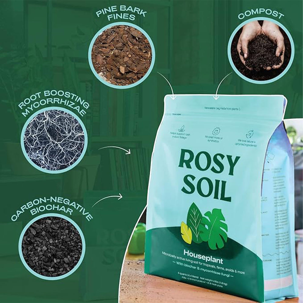 Rosy Soil Houseplant Mix