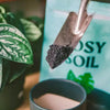 Rosy Soil Houseplant Mix