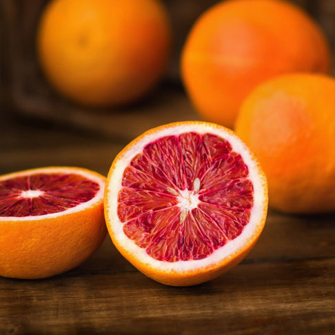 Sanguinelli Semi-Dwarf Blood Orange Tree
