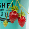 Bushel and Berry® Scarlett Belle™ Strawberry Bush