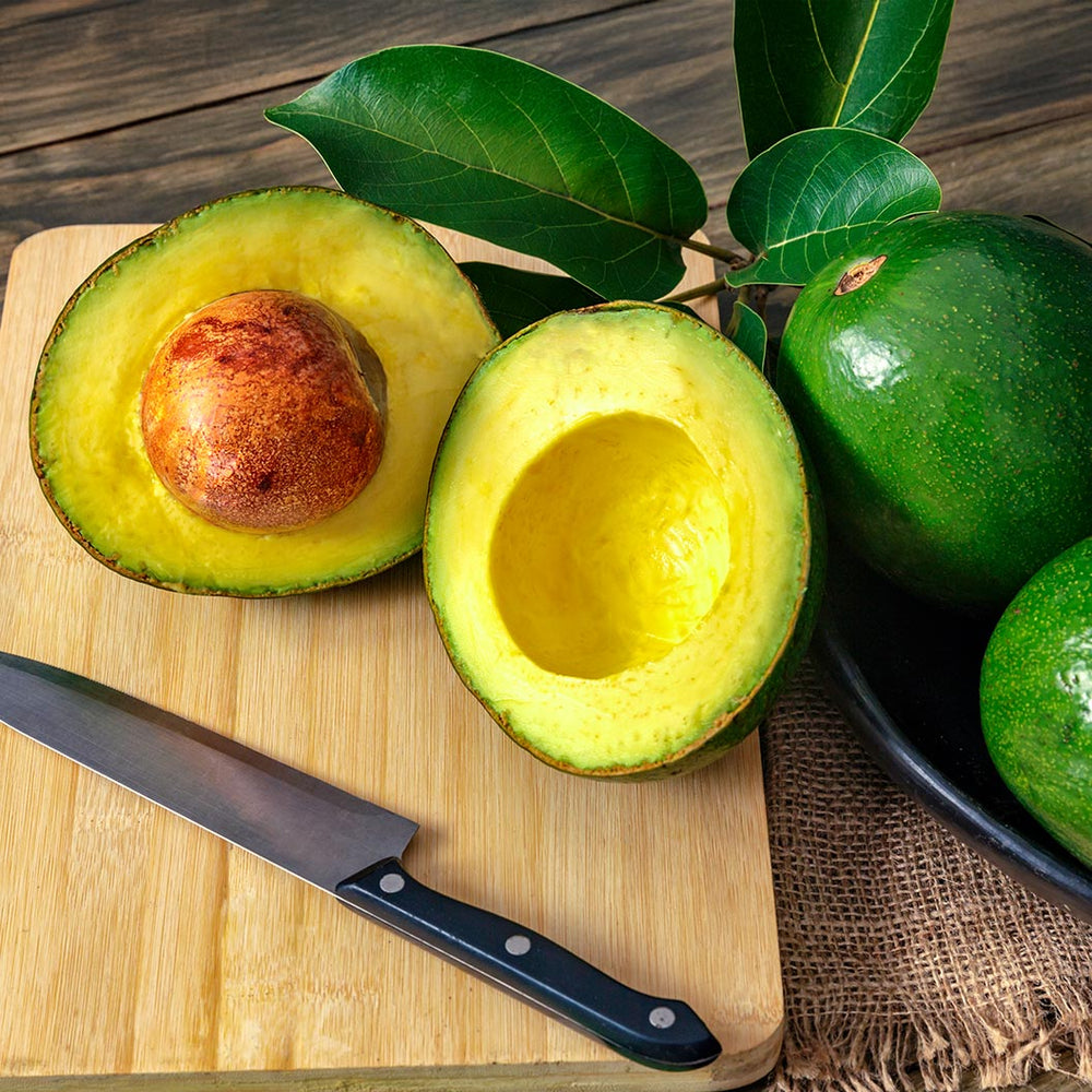 Stewart Avocado Tree