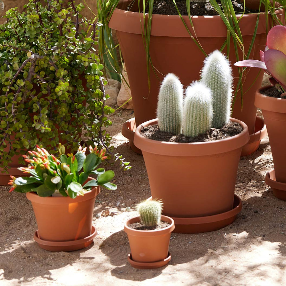 Bloem Terra Planter in Terra Cotta