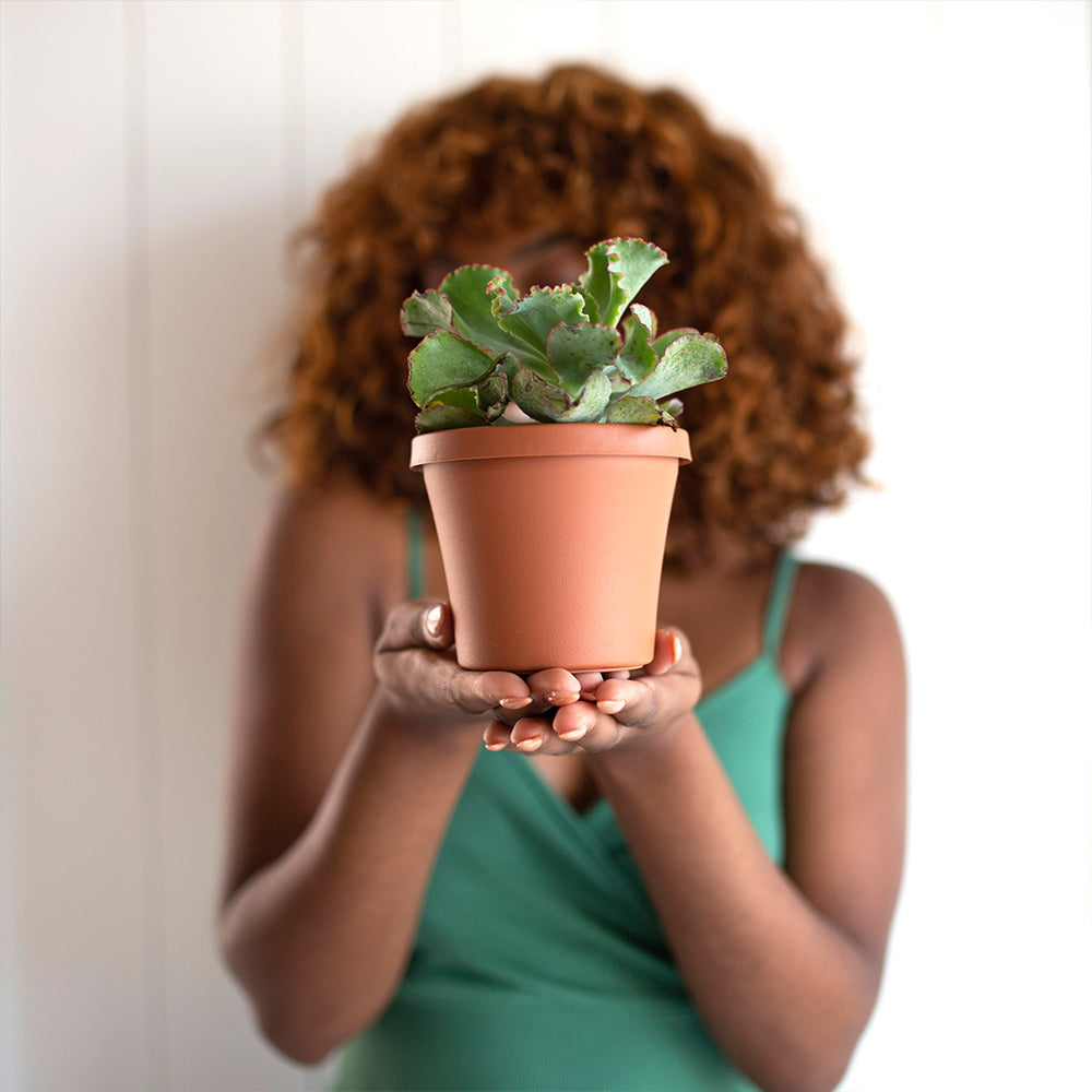 Bloem Terra Planter in Terra Cotta