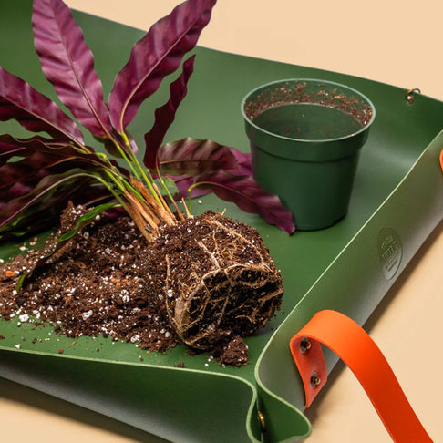 We the Wild Reusable Potting Mat
