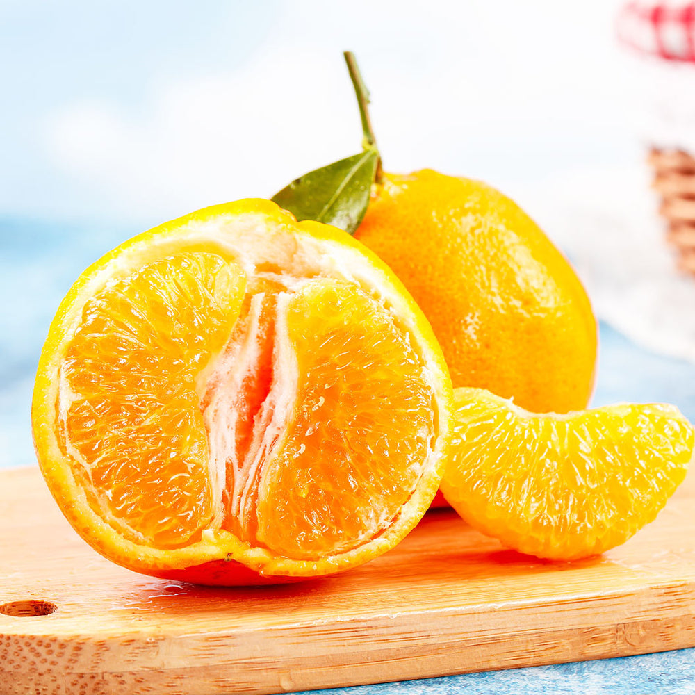 Xie Shan Satsuma Tree