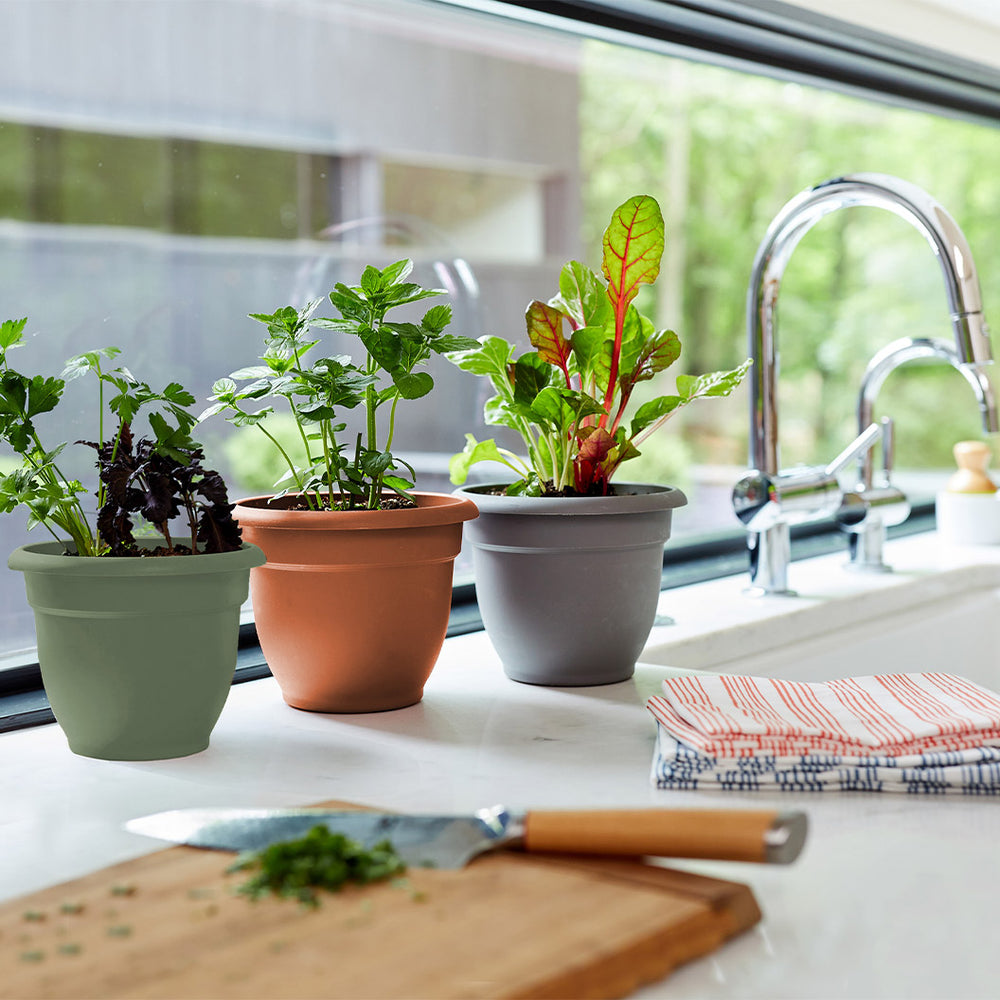 Bloem Ariana Self-Watering Planter in Terra Cotta