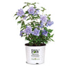 Proven Winners® Blue Chiffon® Rose of Sharon Althea